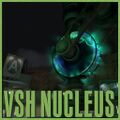 VSH Nucleus Workshop image.jpg