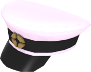 Painted Wiki Cap D8BED8.png
