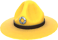 Painted Sergeant's Drill Hat E7B53B.png