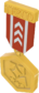 Painted Tournament Medal - TF2Connexion 803020.png