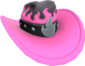 Painted Brim of Fire FF69B4.png