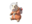 Space Hamster Hammy