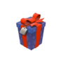 Backpack A Carefully Wrapped Gift.png