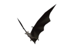Item icon Guano.png
