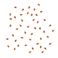 Frontline birch groundleaves 5 scatter.png