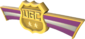 Unused Painted UGC 4vs4 7D4071 Season 13-14 Gold 2nd Place.png