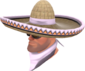 Painted Wide-Brimmed Bandito D8BED8.png
