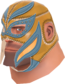 Painted Large Luchadore B88035.png