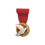 Backpack Tournament Medal - Heals for Reals Donor.png