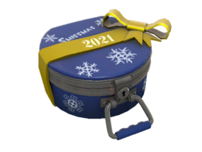 Item icon Winter 2021 Cosmetic Case.png