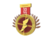 Tournament Medal - Sacred Scouts