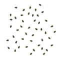Frontline birch groundleaves 2 scatter.png