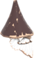 Painted Gnome Dome 483838 Classic.png