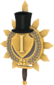 Painted Tournament Medal - Chapelaria Highlander A89A8C.png