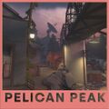 Pelican Peak Workshop image.jpg