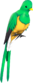 Painted Quizzical Quetzal E7B53B.png