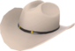 Painted Texas Ten Gallon A89A8C.png
