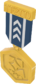 Painted Tournament Medal - TF2Connexion 28394D.png