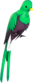 Painted Quizzical Quetzal 51384A.png