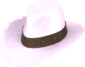 Painted Hat With No Name D8BED8.png
