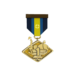 Tournament Medal - LBTF2 Highlander