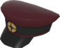 Painted Wiki Cap 3B1F23.png